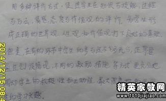 动物明星教学反思,探索互动教学新路径