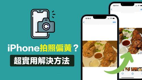 拍头条用什么照片,如何用精选照片打造引人注目的文章副标题